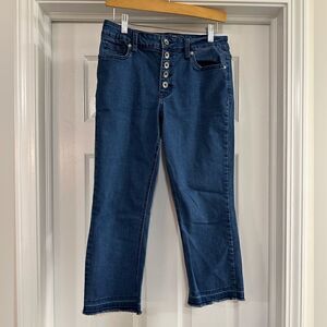 Hydraulic Nolita curvy slim straight raw hem button fly jeans size 8